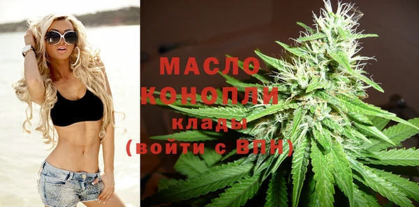 молекула духа Горнозаводск