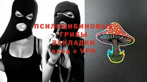 мяу мяу кристалл Горняк
